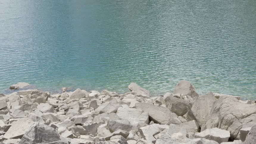 Sunlight is reflecting in the water