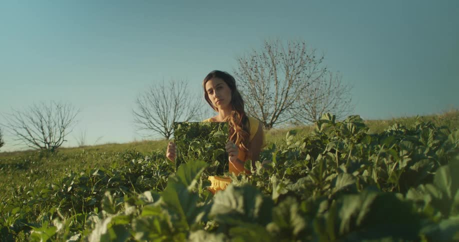 A woman is sitting on the grass outdoors in spring