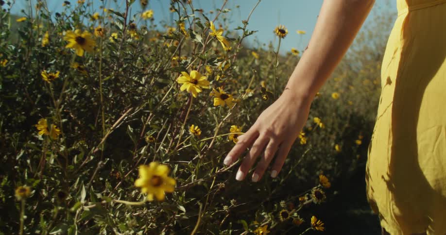 Woman wearing a yellow dress touches wildflowers growing on a field