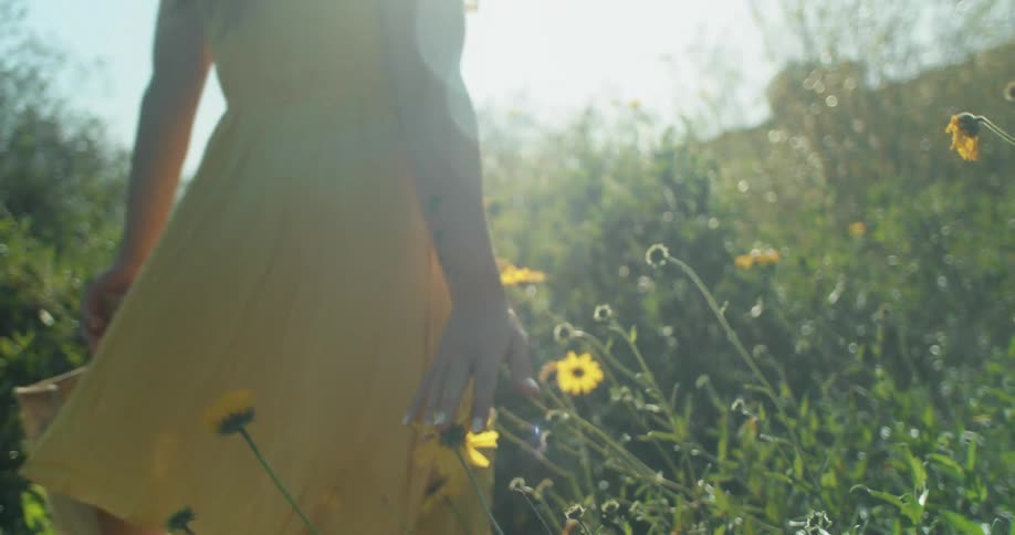 Young woman wearing a yellow dress walks on a field of wild yellow flowers