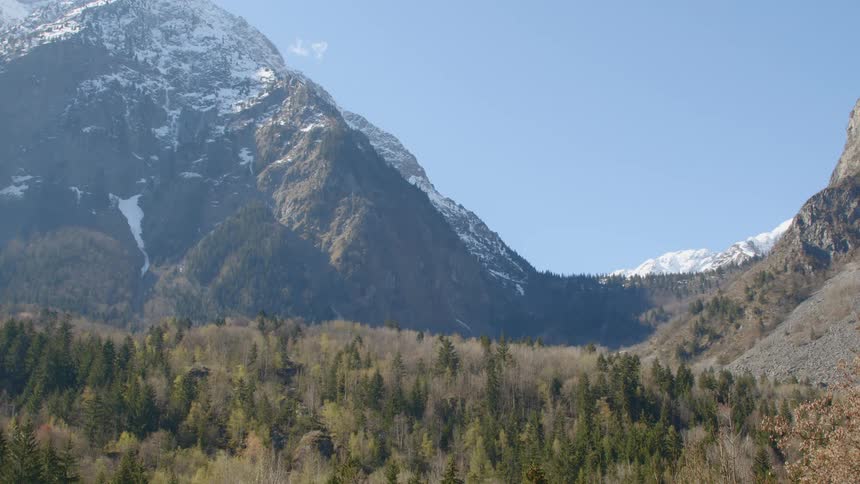 Grassland with snow covered mountains in the distance
