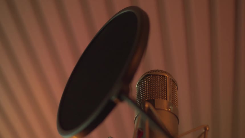 Proffesional microphone with a pop filter on a stand inside a dimly lit room