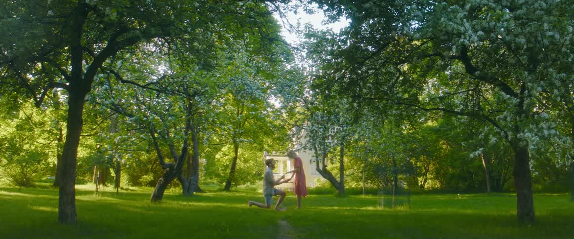 A man and woman stand in a park holding hands and then he gets down on one knee and proposes and then he puts a ring on her finger and they hug
