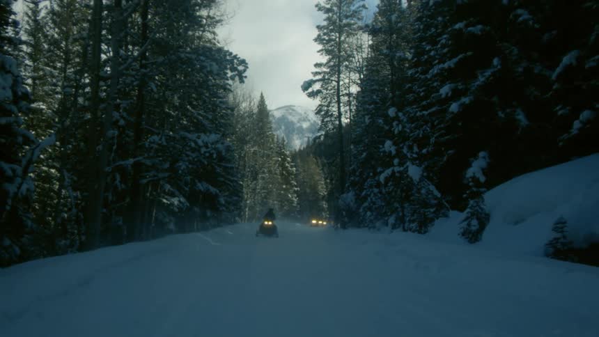 People on snowmobiles with trees a mountain range the sky and clouds in the background