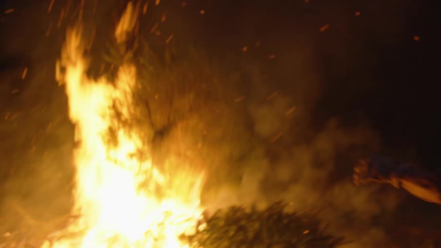 A man burning trees in a fire