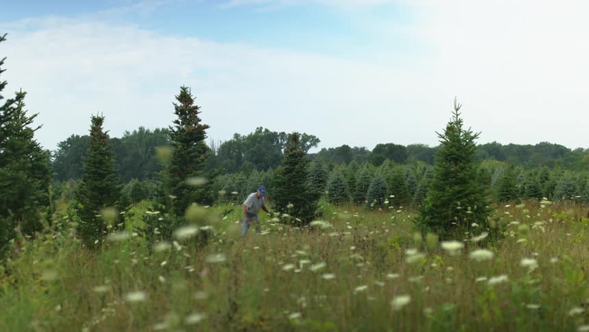 A man with a hat pruning a tree in a field with the sky and clouds in the background