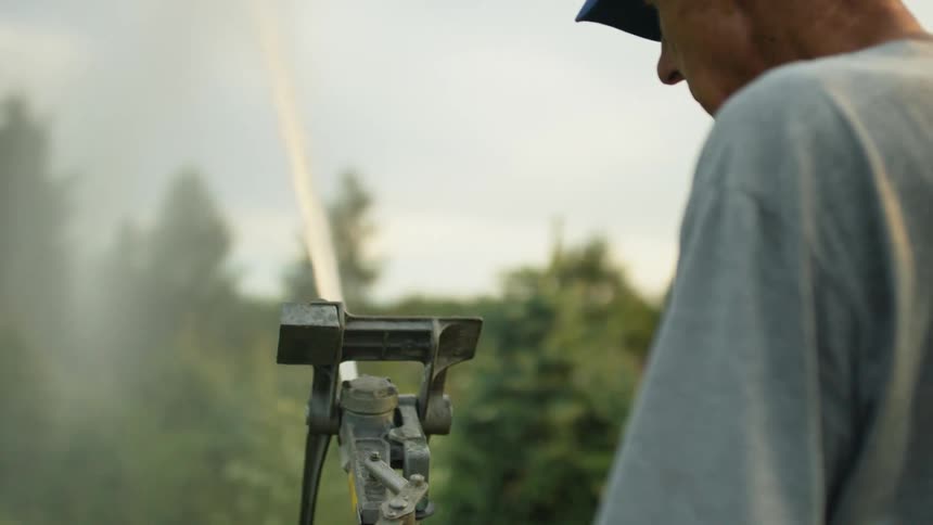 Man setting up a sprinkler on a pine tree farm at sunset