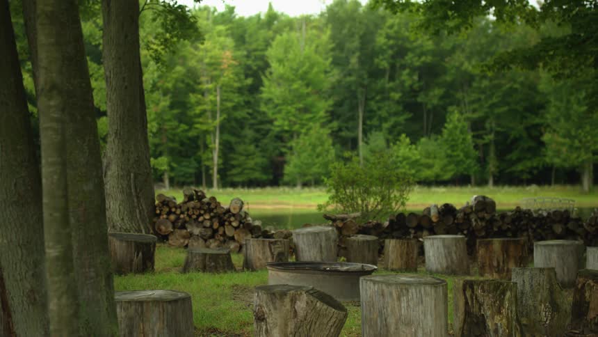 A landscape with logs and tree stumps with the sky and clouds in the background