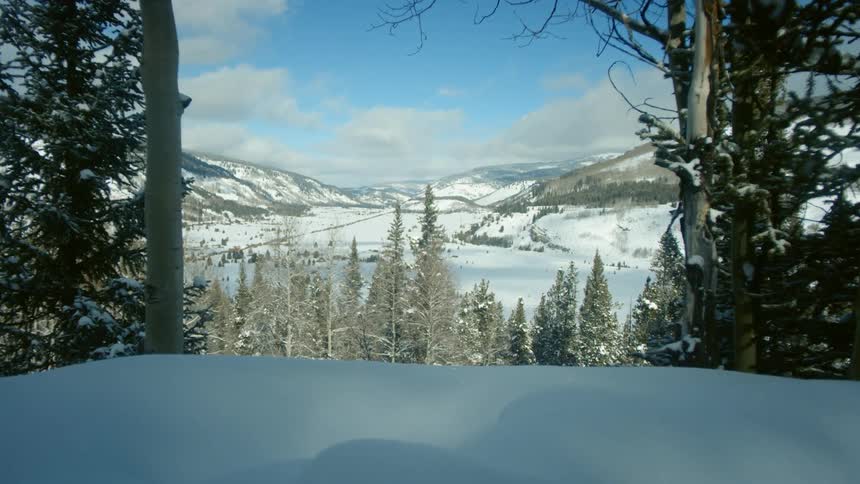 A view of a winter scene in nature