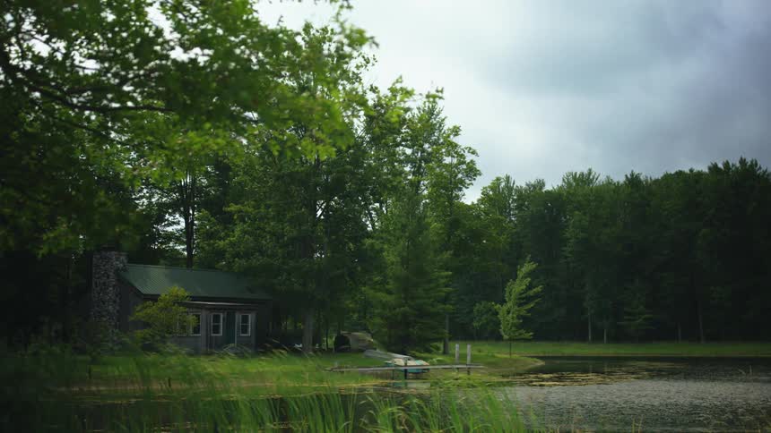 The large trees cover a house by the lake