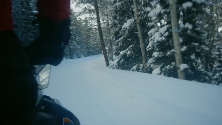 Person driving a snowmobile on a road through the pine forest at morning