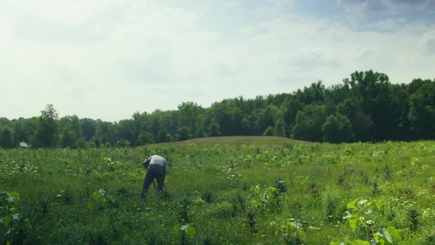 A man with a hat using a shovel to dig a hole in a grassy field with trees the sky and clouds in the background