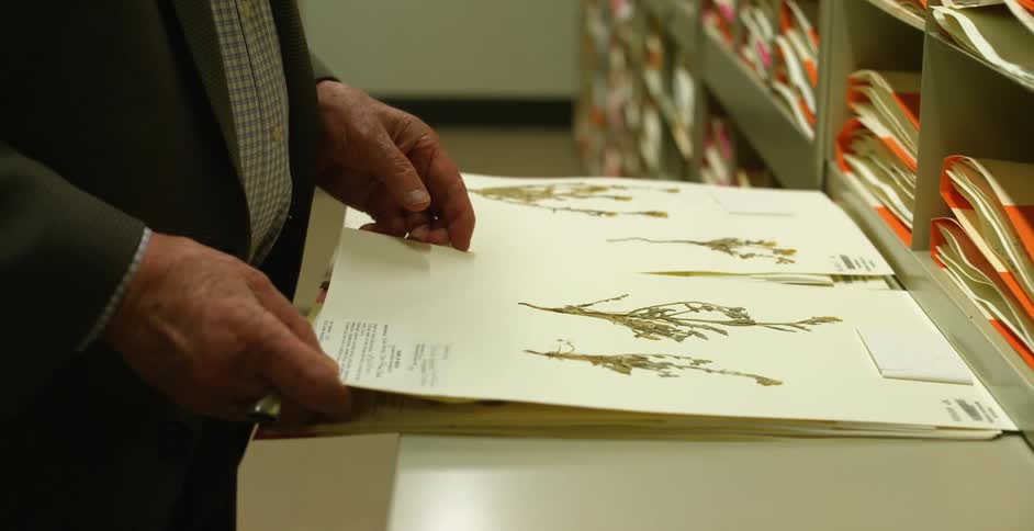 A man is examining files with photos inside