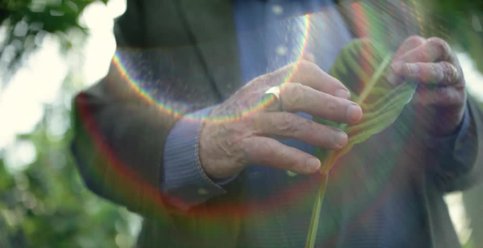 A man with a ring holding a leaf with trees the sky and clouds in the background
