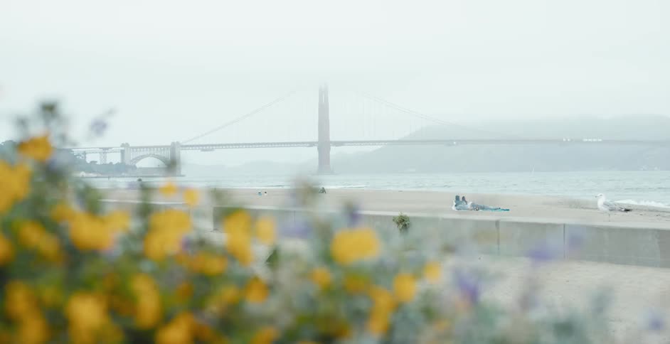 Wide shot of a bridge