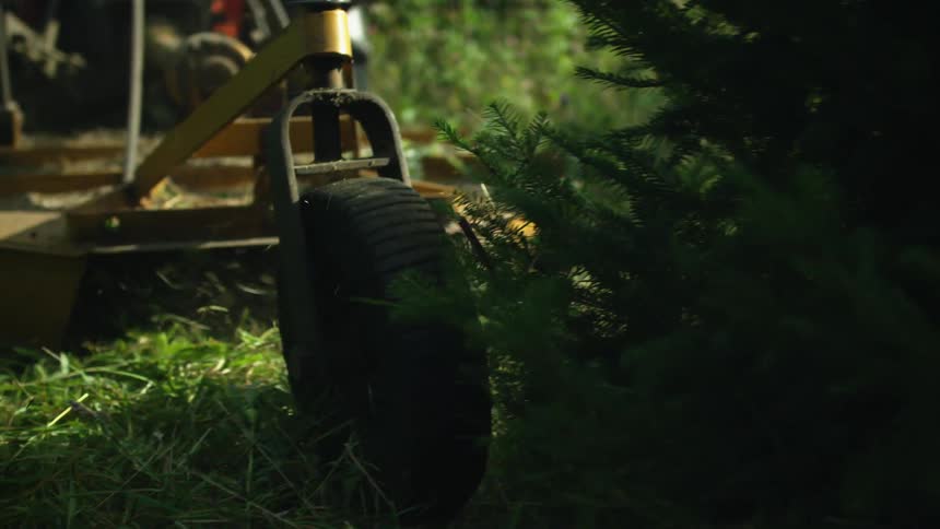 Gardener pushing a lawnmower over the grass in the morning