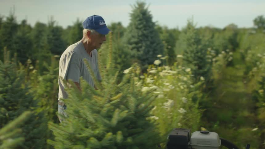 A man is mowing the lawn in a rural area