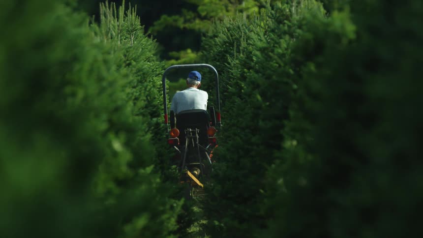 A man with a hat on a tractor surrounded by trees