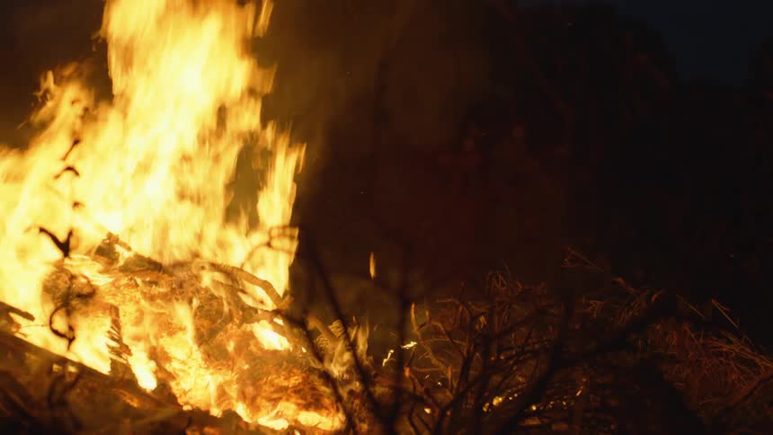 Bright flames and smoke from a bonfire burning in the woods