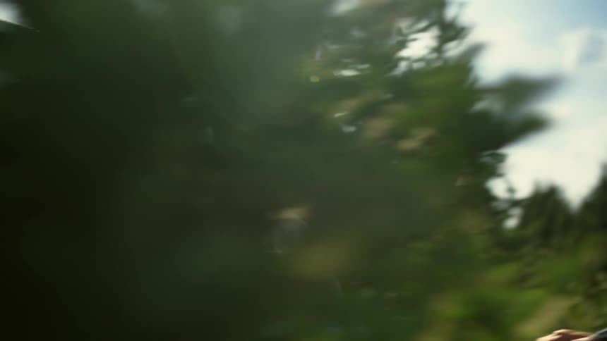 An elderly man drives a piece of farm equipment through a heavily tree lined area