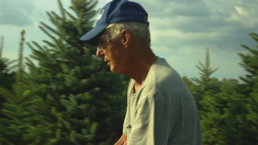 Elderly man pushing a lawnmower through the trees on a pine tree farm