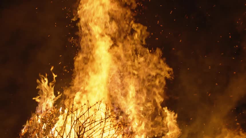 A large bonfire of trees