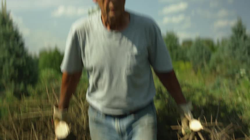 An elderly man drags two trees behind in a rural area