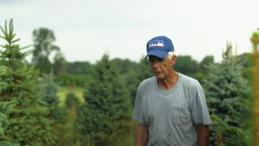 An elderly man is walking through a wooded area