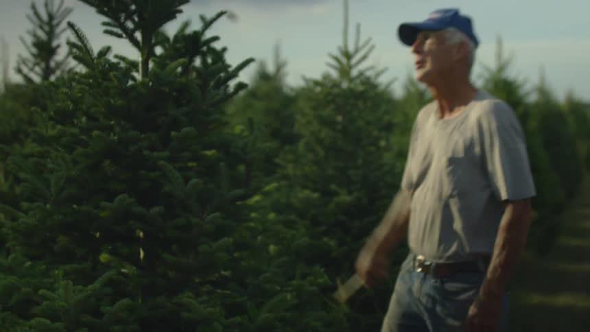 A man with a hat pruning a tree with the sky and clouds in the background
