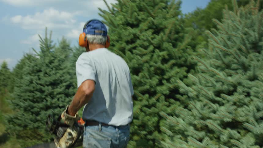 A man with a hat cutting a tree with a chainsaw with the sky and clouds in the background