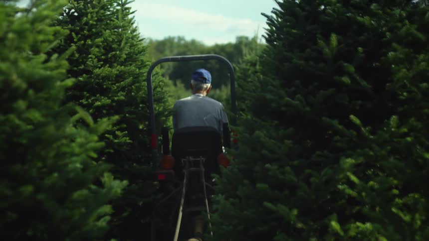 Farmer on a tractor in a farm