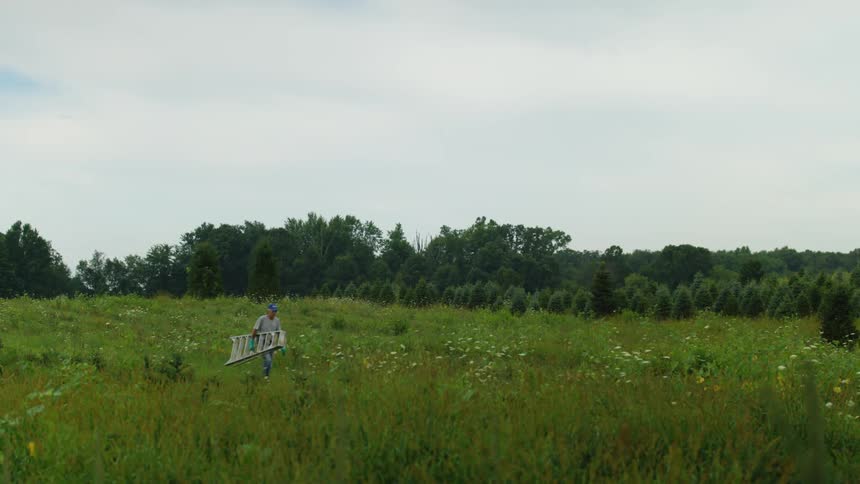 An elderly man carries a ladder across a grassland
