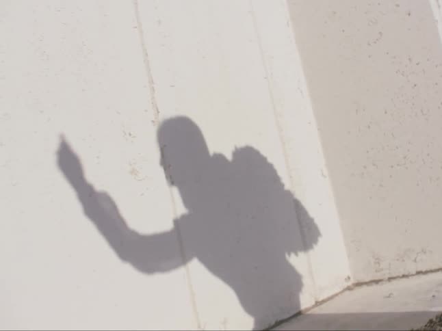 The shadow of a wearing wings as she dances