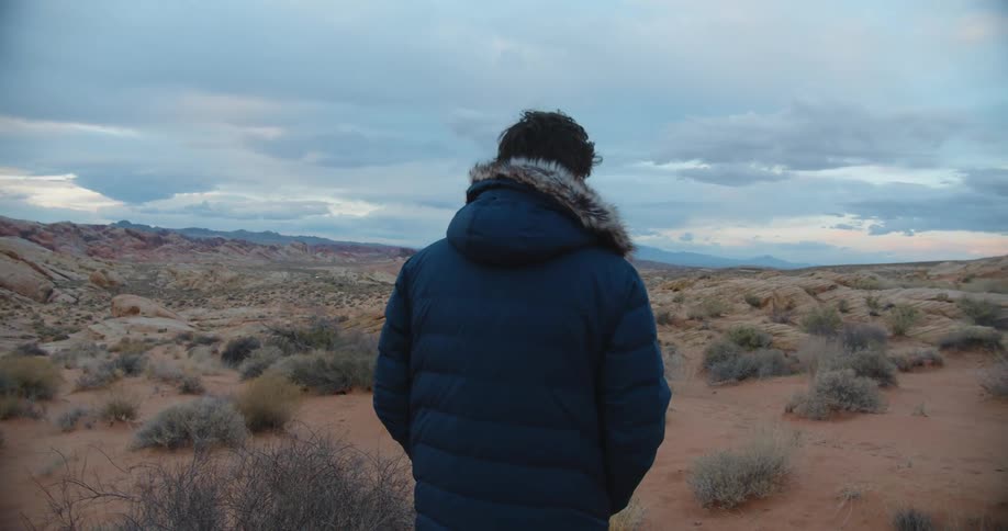 A man walks across a field and then turns around and looks up at the sky