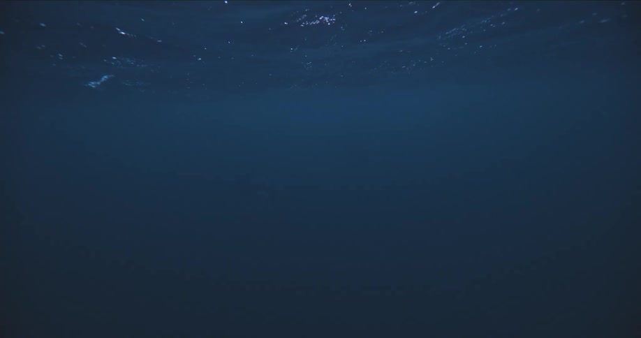 Air bubbles form under the surface of the ocean as waves roll through