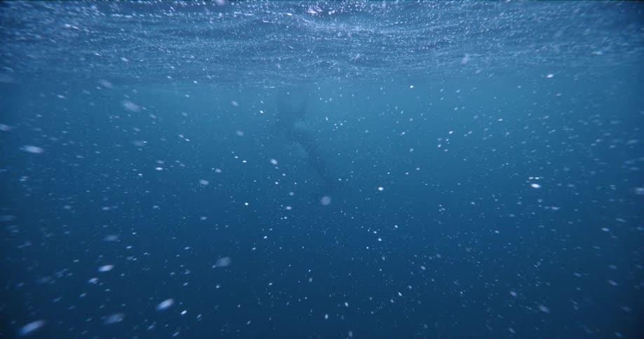 A whale swimming underwater in the ocean