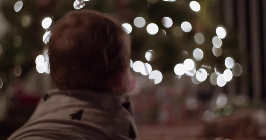 A small child looks at the christmas tree lights