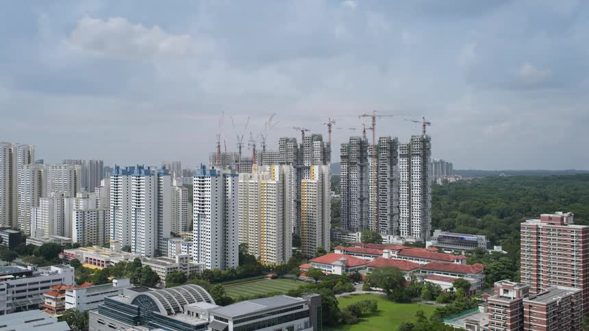 A forest is behind the city buildings