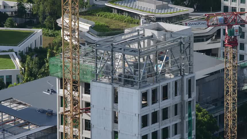 Workers and construction cranes work on building construction as trees grow