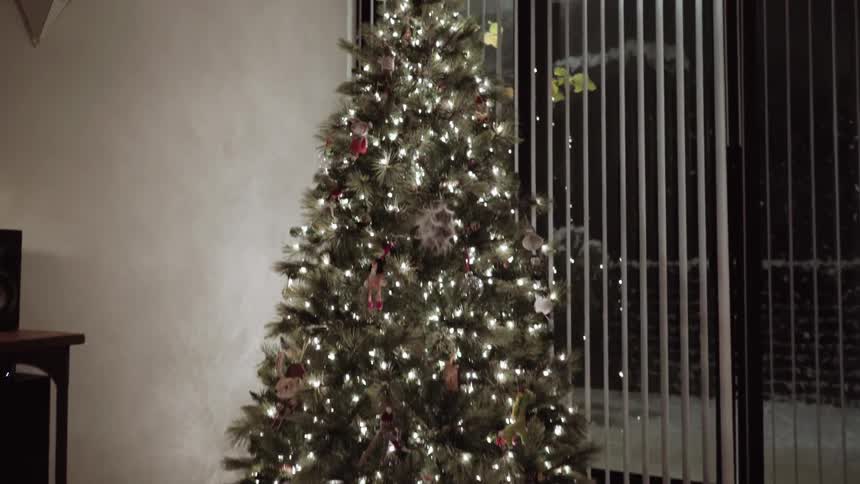 Infant crawling across the floor towards a lighted christmas tree