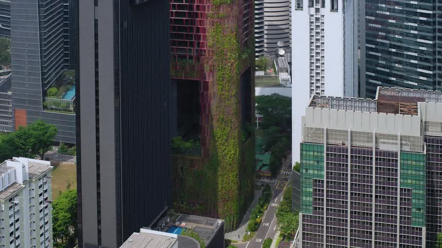 Green vines creep up side of skyscrapers as traffic and time passes