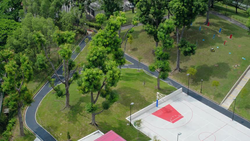 Trees and plants grow as people are using the park during the day