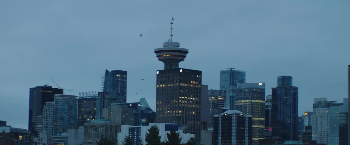Bird fly around city downtown as building lights shine under moody blue sky