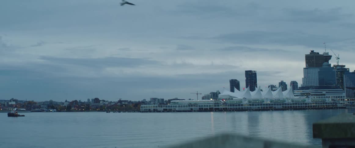 A seagull flies over water near shore with a city skyline and pier behind