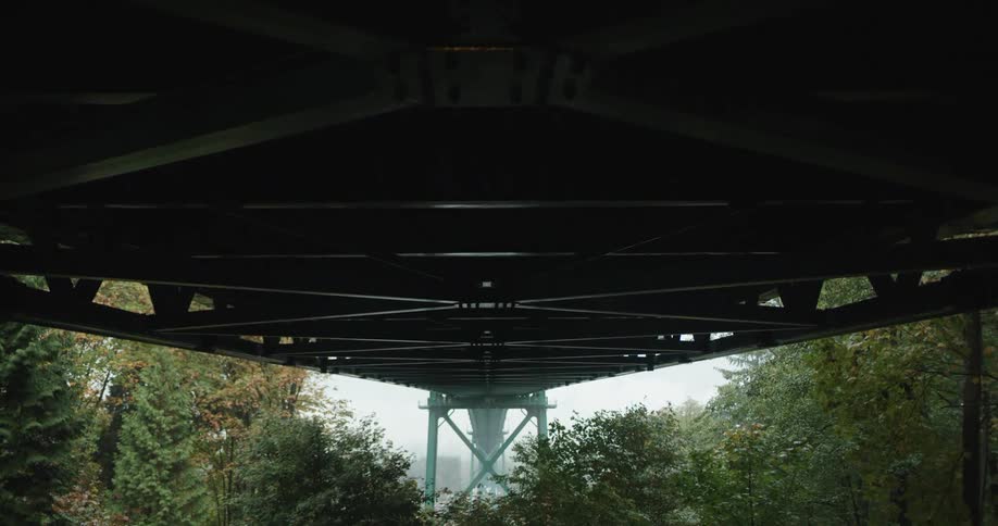 A large bridge supported by steel beams stands above a forested park area