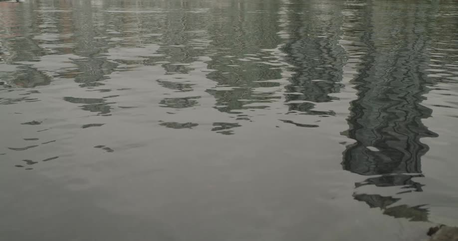 The reflection of buildings in water