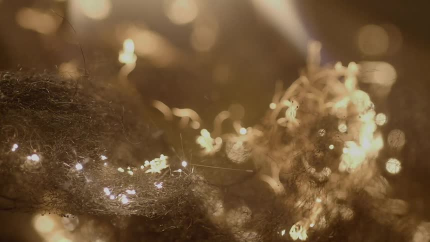 Dry grass quickly lights on fire