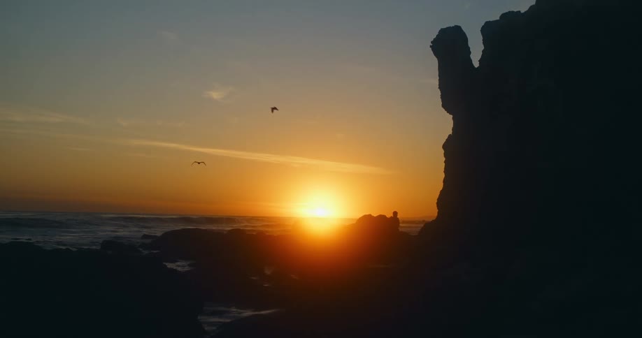 A person walks on shore as seagulls fly over ocean waves at sunrise