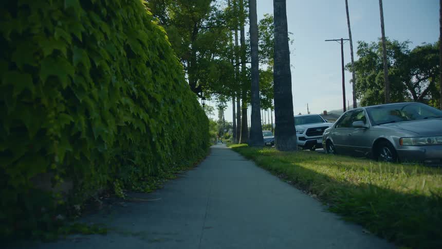 A sidewalk long a road in a neighborhood during the day