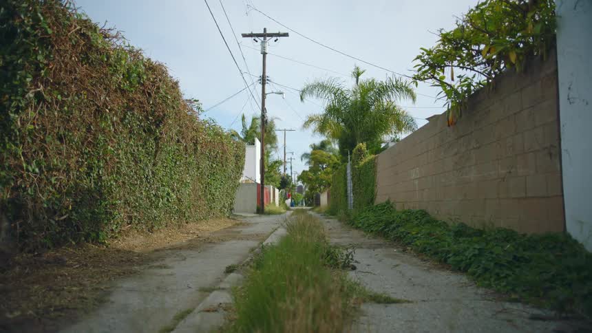 Grass and weeds grow down the center of an alley between two walls